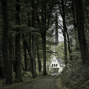 林间小道尽头的白色小屋