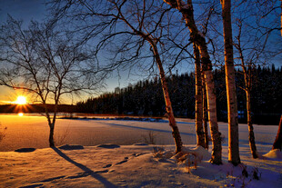 冬日雪林落日美景