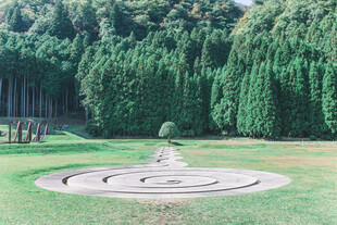 户外草坪上的圆形迷宫景观