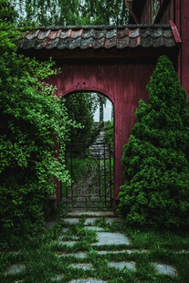 红墙绿植间的静谧庭院