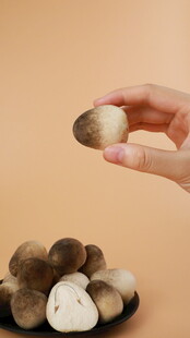 手拿新鲜蘑菇草菇