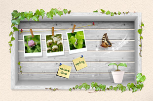 原创节日装饰插画