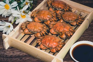 大闸蟹