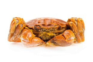 美味大闸蟹特写