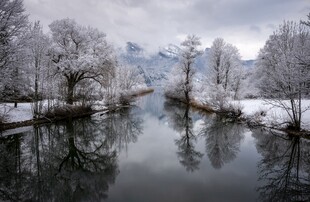 冬日雪覆河岸静谧美景
