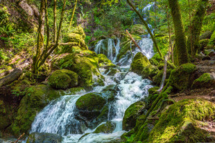 山林间的潺潺溪流