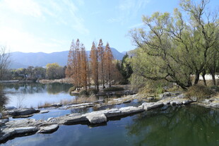 湖畔春景