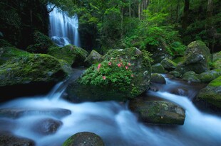 山间溪流瀑布的自然美景