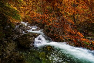秋日山间溪流美景
