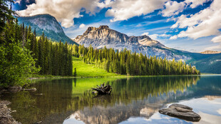宁静湖畔美景