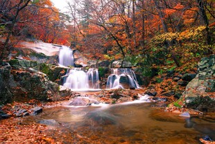 秋日山林中的潺潺溪流