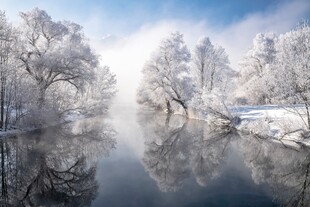 冬日雪覆河岸的静谧美景