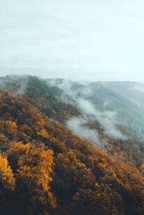 秋山林间云雾缭绕美景