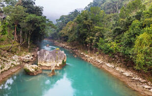 青山绿水间的木桥风景