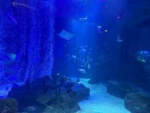 梦幻海底隧道景观