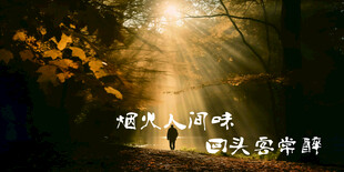 灯箱海报