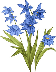 蓝色花朵水彩插画