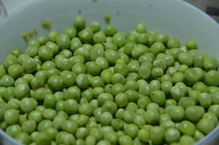 碗中鲜嫩饱满的青豌豆