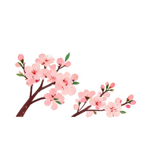 粉色樱花枝插画