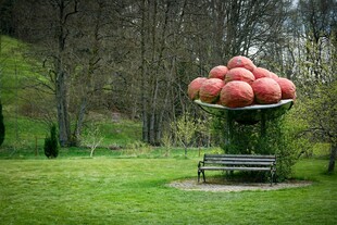 草地上悬浮的苹果景观