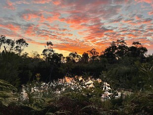 日落时分的森林湖畔美景