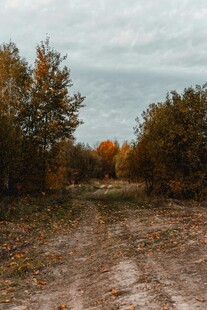 秋日荒野土路风景