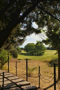 林间木栈道旁的开阔草地
