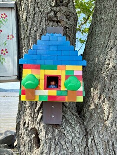 彩色积木风树挂鸟屋
