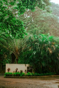 雨林中古朴的标识牌