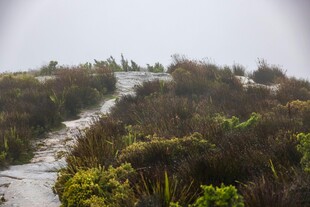山间雾中蜿蜒小径