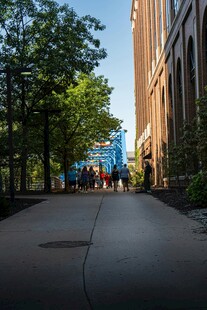 城市街道林荫下的行人景象