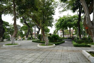 城市中的宁静林荫步道