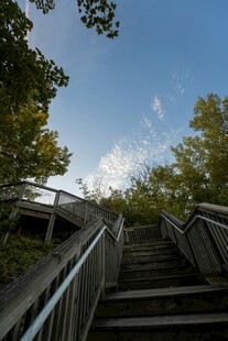 林间木质阶梯通往蓝天