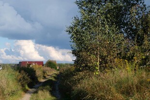乡村田野间的宁静小路