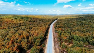 蜿蜒公路穿行多彩山林