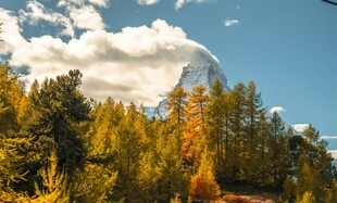 秋日山林中的壮丽雪峰