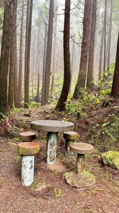 森林中的简易木质野餐桌