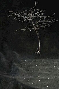 黑暗中孤独的枯树