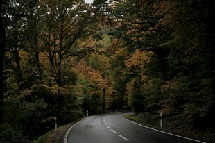 秋日林间蜿蜒公路