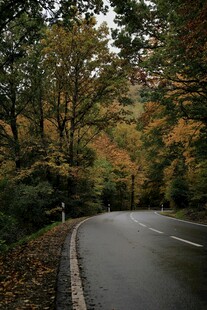 秋日蜿蜒林间公路