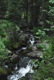 山林间潺潺溪流美景