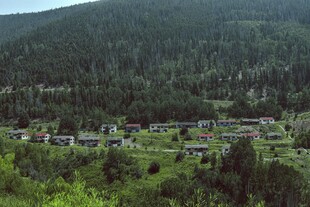 山间村落隐于葱郁树林间