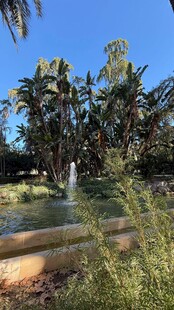 热带园林喷泉景观