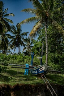 椰林中的工人劳作场景