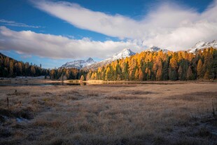秋日旷野山林美景