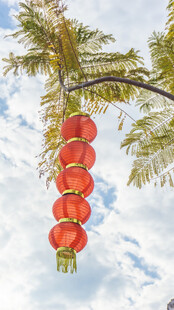 蓝天树下的串串红灯笼