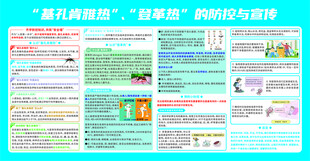 基孔肯雅热 登革热防控