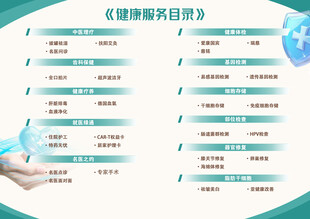 目录 健康服务 画册 项目 