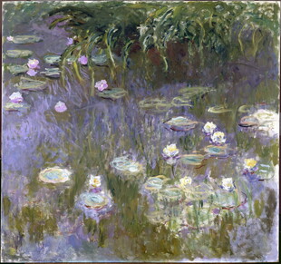 莫奈睡莲画作中的静谧水景