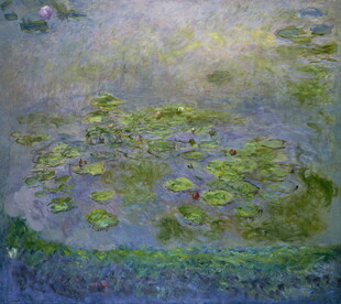 莫奈睡莲画作中的静谧水景
